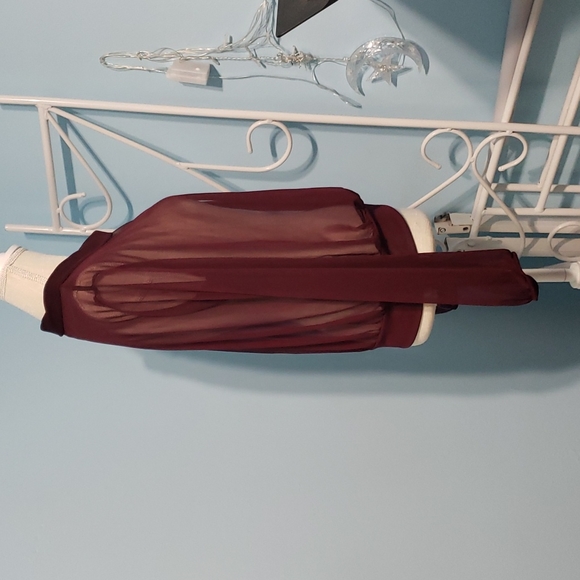 Express Sheer Deep-V Top - Picture 4 of 7